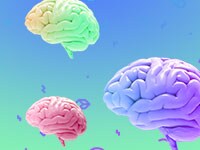 Saving Wildlife navigation image