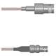 Amphenol Custom Cable Q-0300Q0005012i