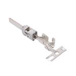 Aptiv (formerly Delphi) 10756353 Vergrößertes Bild