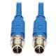 Tripp Lite NM12-601-10M-BL