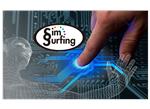 Murata SimSurfing-Tool
