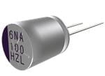 Rubycon PZL Lead-Wire Aluminum Electrolytic Capacitors