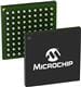 Microchip Technology MAX24210EXG2