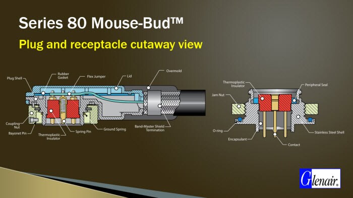 Plug and Receptacle Cutaway View