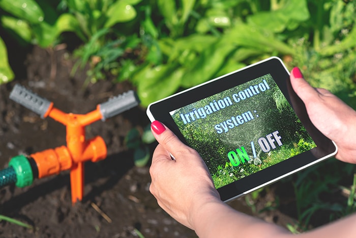 Woman is holding in hand a 
    tablet computer with a program of irrigation control system on a garden sprinkler background.