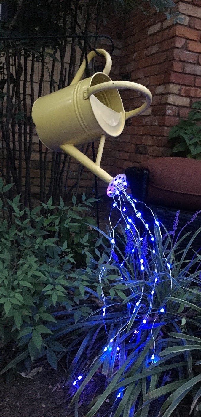 Watering Can LEDs Project